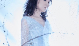 张瑶演过的电视剧,从琅琊榜到庆余年的多面演绎