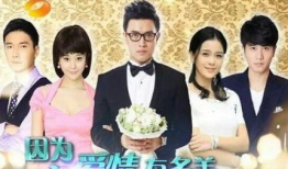 因为爱情有多美电视剧全集